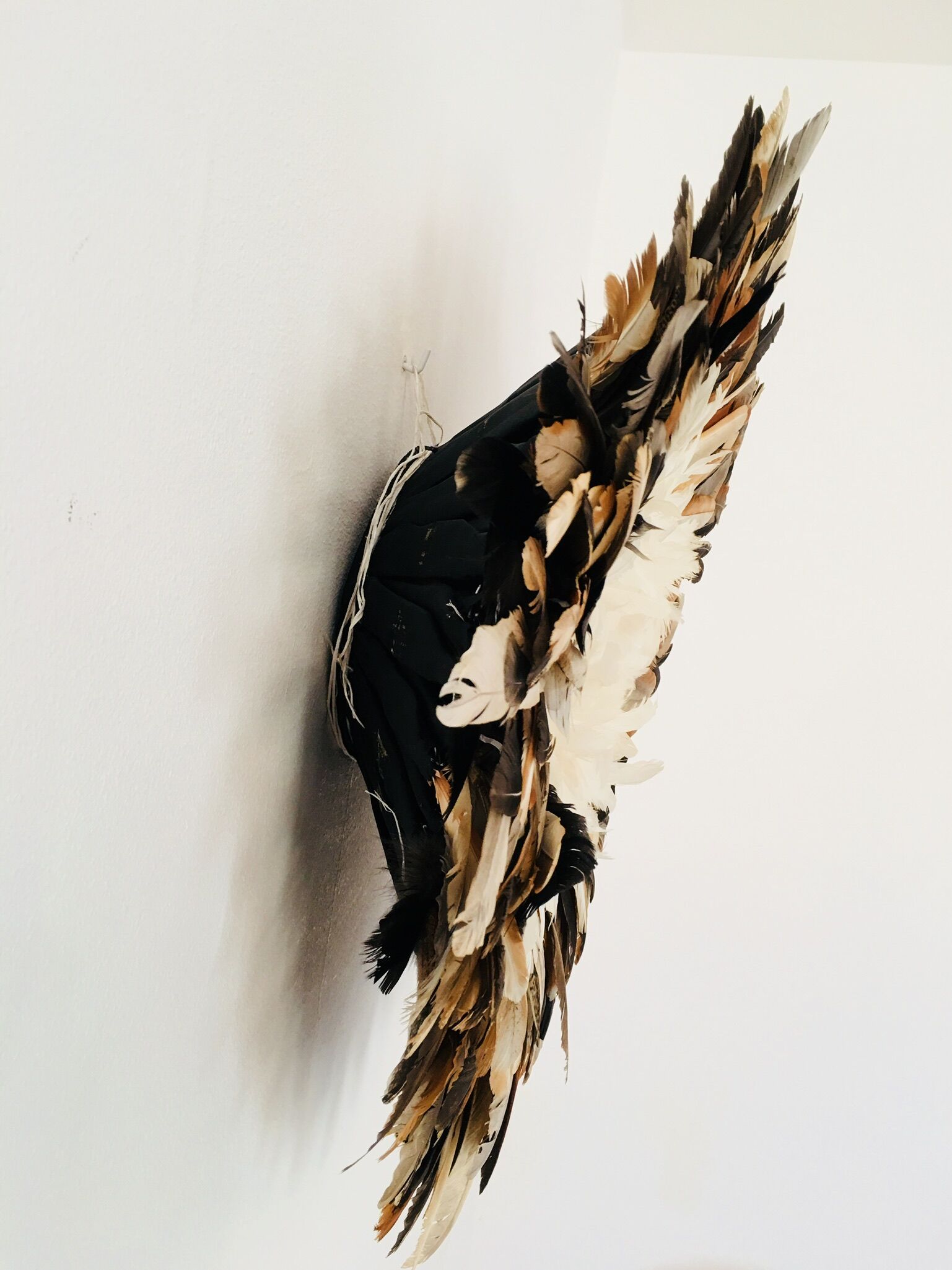 Juju hat beige 55 cm