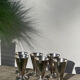 6 conical silver-plated metal bowls with hallmarks / Art Deco stemmed glasses