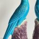 Pair of phenix birds chinese porcelain early 20th century