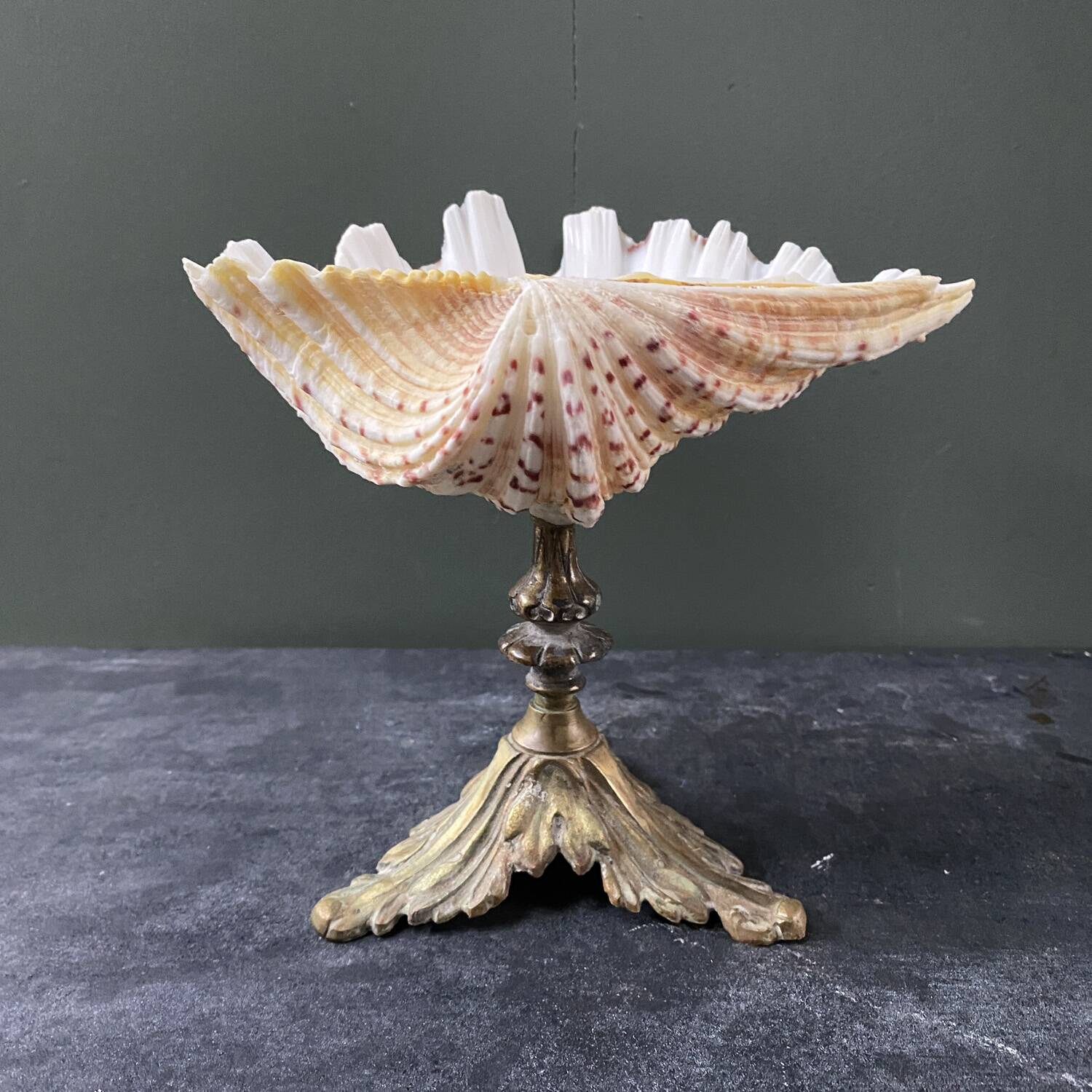 Holy water stoup shell on base