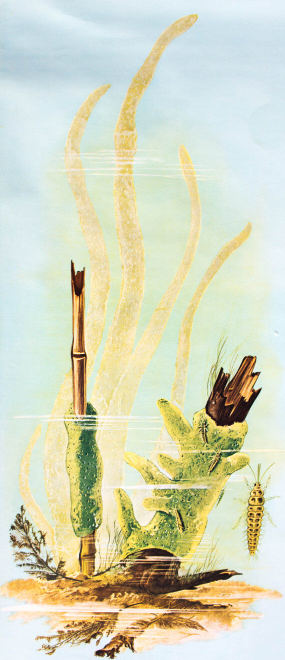 Wall poster of the school by Jung-Koch-Quentell "water sponges" 1972
