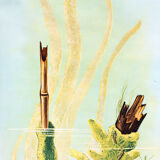 Affiche murale de l’école par Jung-Koch-Quentell "eau éponges" 1972