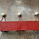 vintage wall coat rack in wood and porcelain