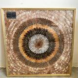 Frame under glass butterfly wings