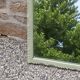 Large antique bevelled mirror in carved solid wood, green lizard – 129 × 75