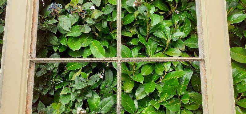 Glass communication door h221.5x90cm old 4 panes without interior glazing