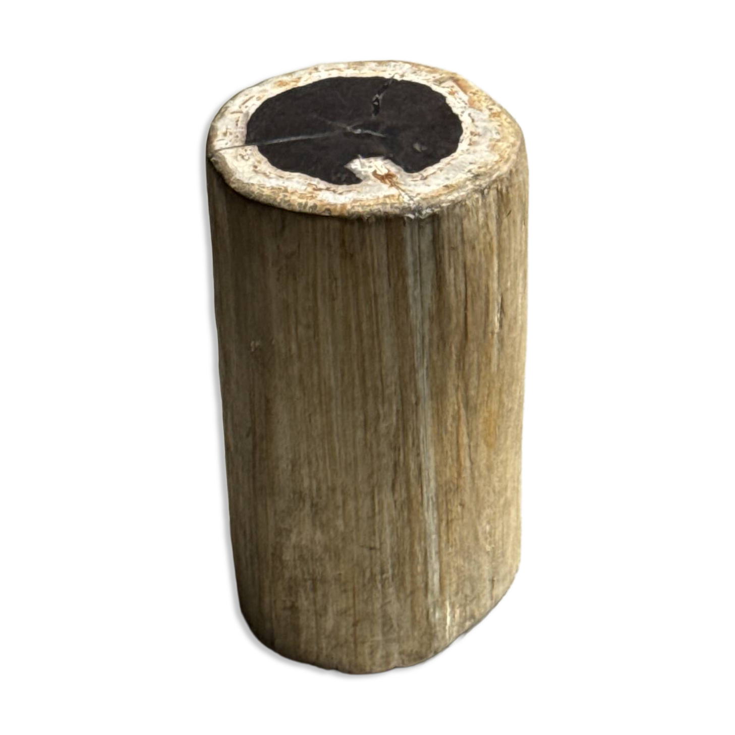 Table d'appoint en bois pétrifié, écorce blanche