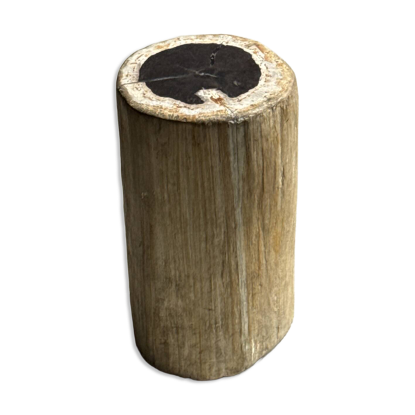 Table d'appoint en bois pétrifié, écorce blanche