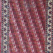 Carpet  Transylvania  170 x 268 cm