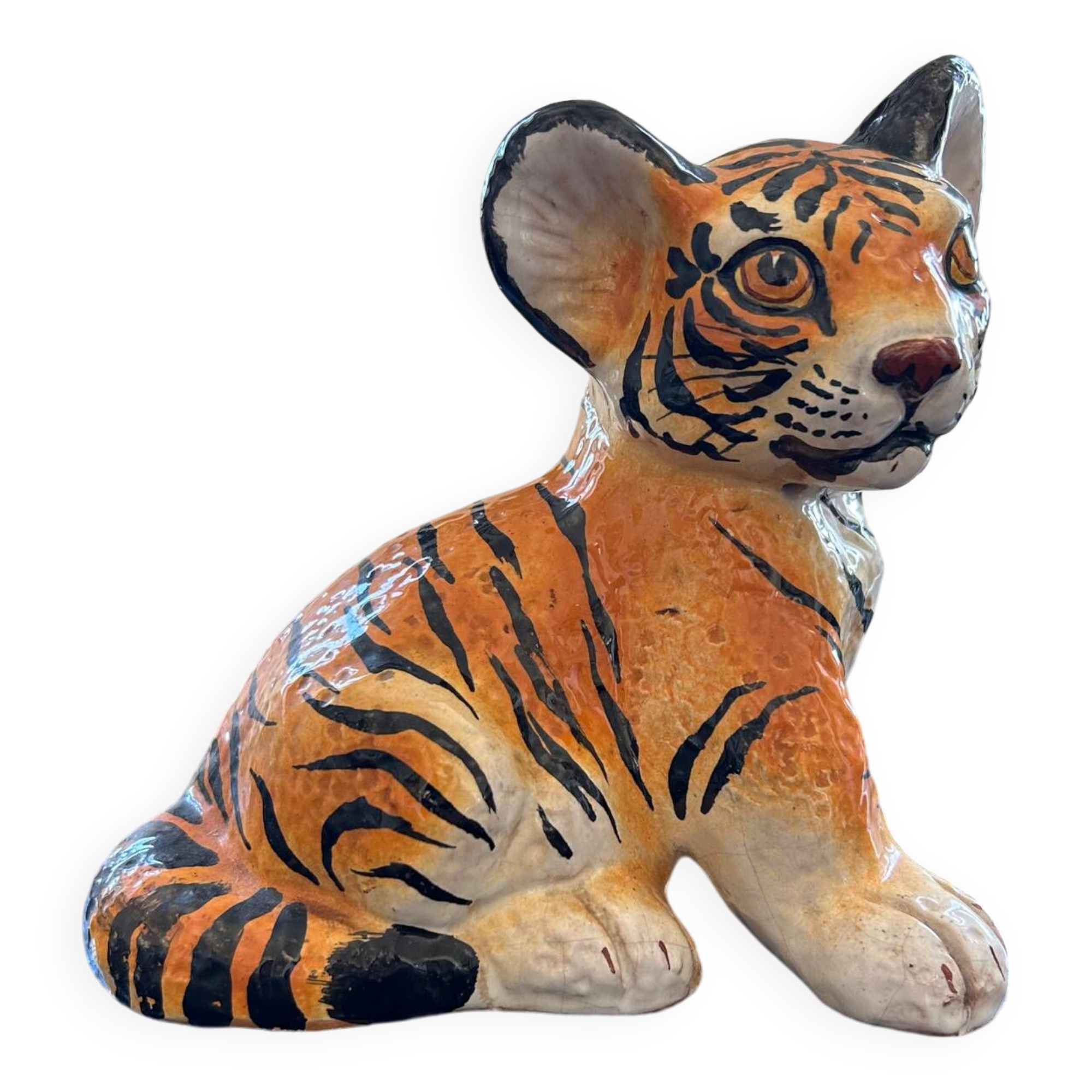 Young tiger hand-painted