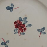 Duo d'assiettes plates Sarreguemines service Danube