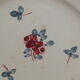 Duo d'assiettes plates Sarreguemines service Danube