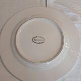 Old dish