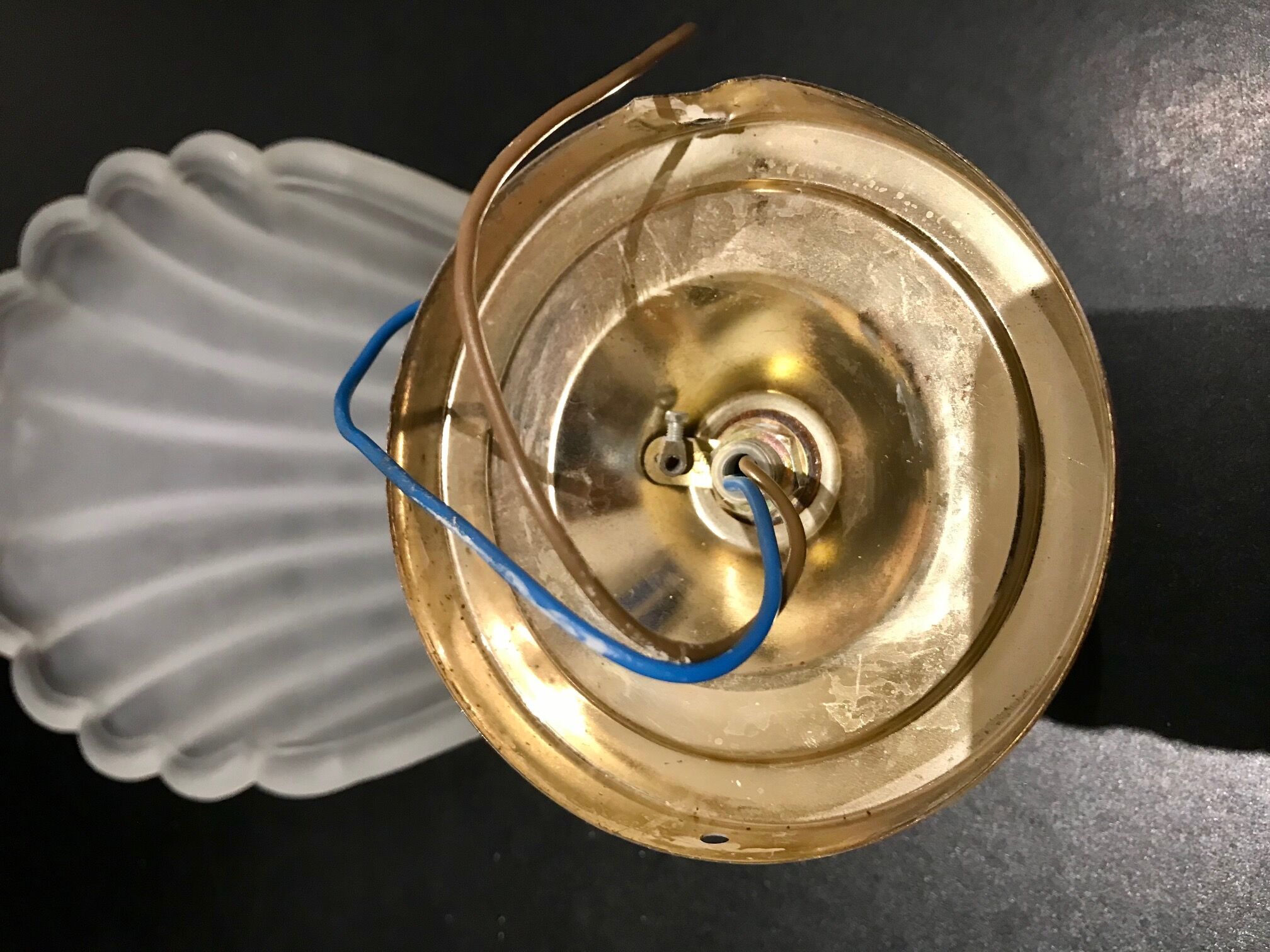 Glass shell wall lamp