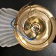 Glass shell wall lamp