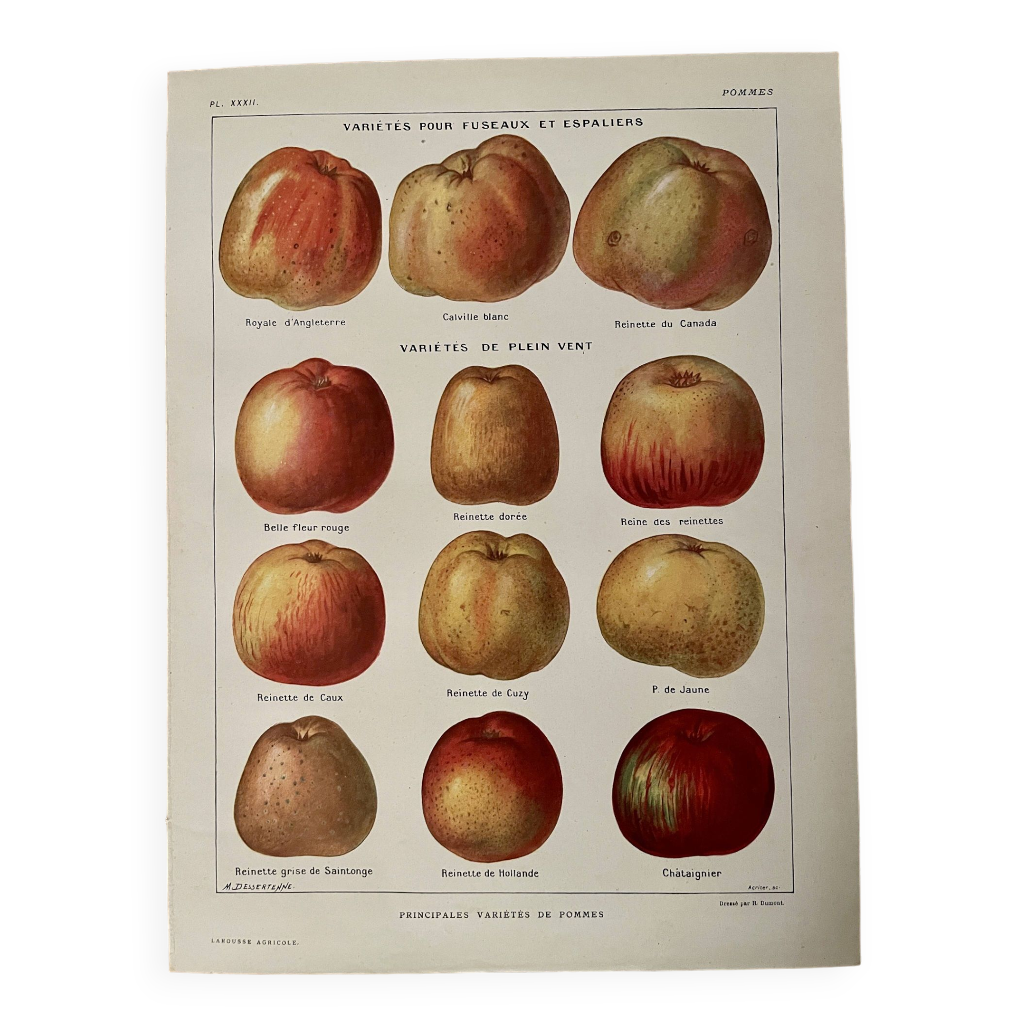 Lithograph on apples - 1920