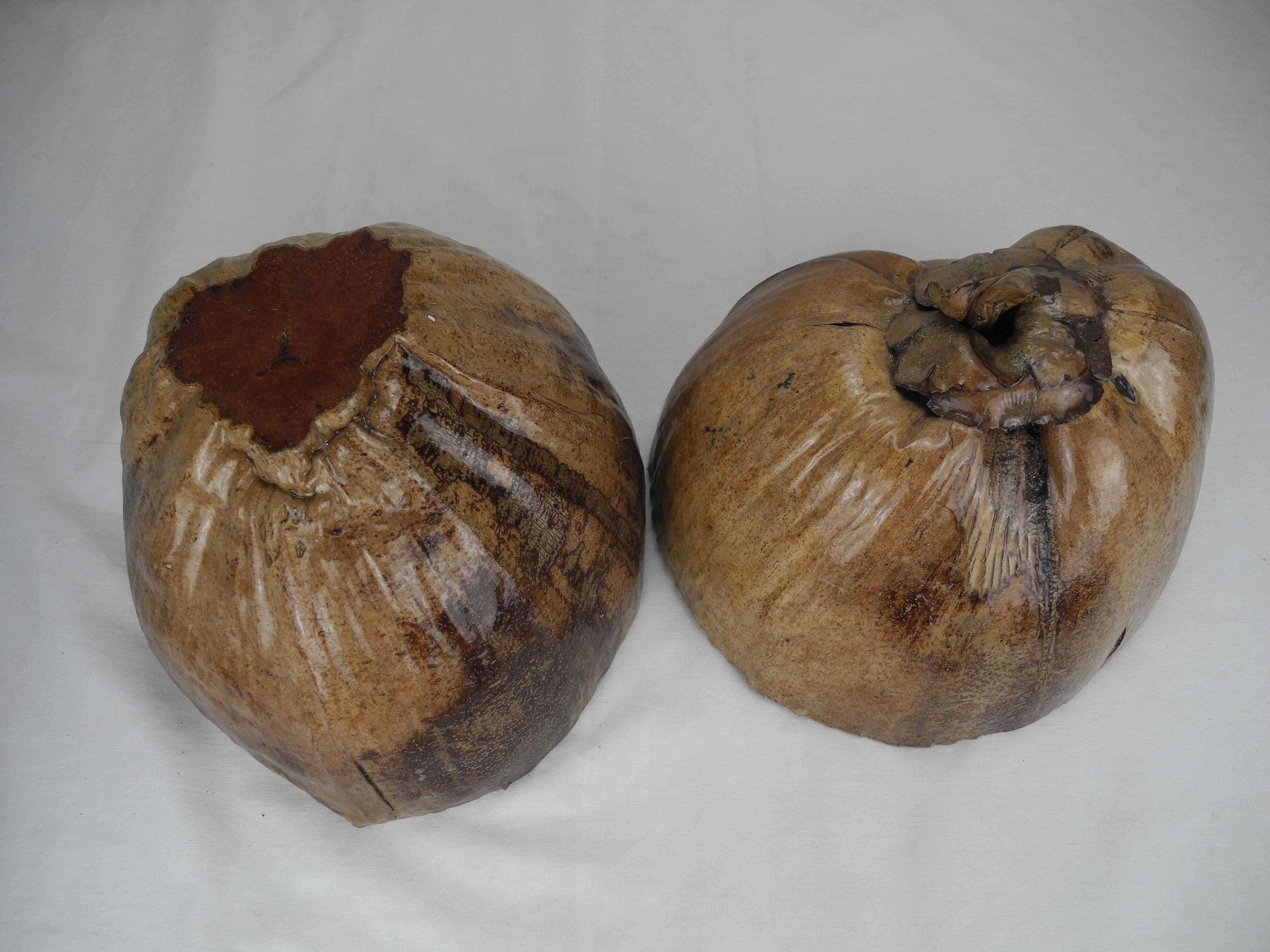 Old vintage decorative coconut ice cube bucket