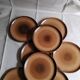 Assiettes plates