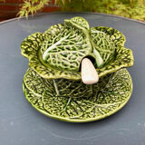 Cabbage bubble