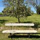 Banc de jardin ancien en bois et métal – esprit Art Nouveau, travail d