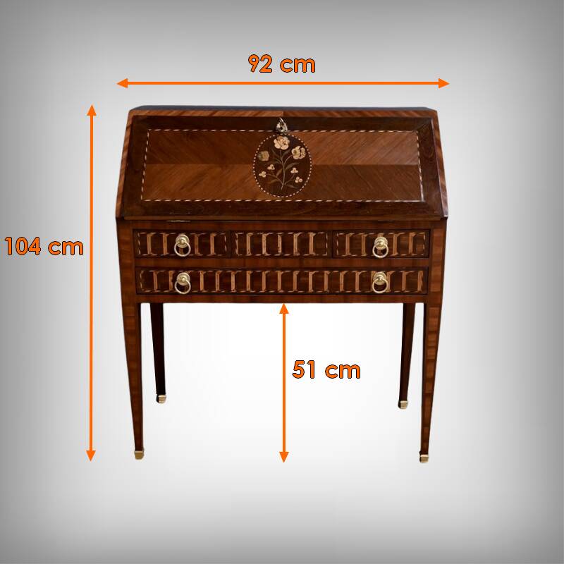 Rosewood and Mahogany Sloping Desk, Louis XVI Style – Mid-19th Century