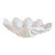 Wedgwood porcelain font shell
