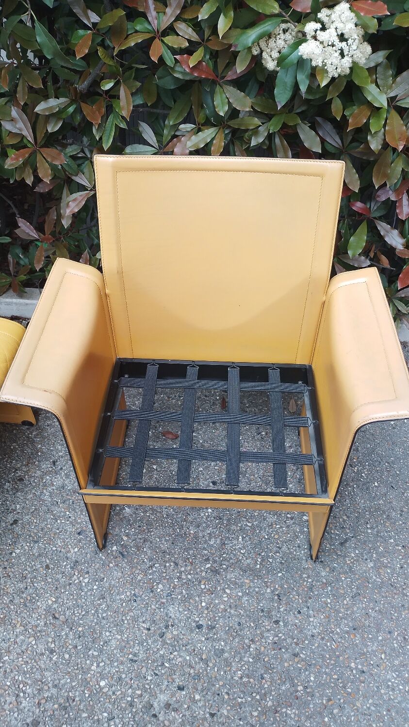 Fauteuils Matteo Grassi