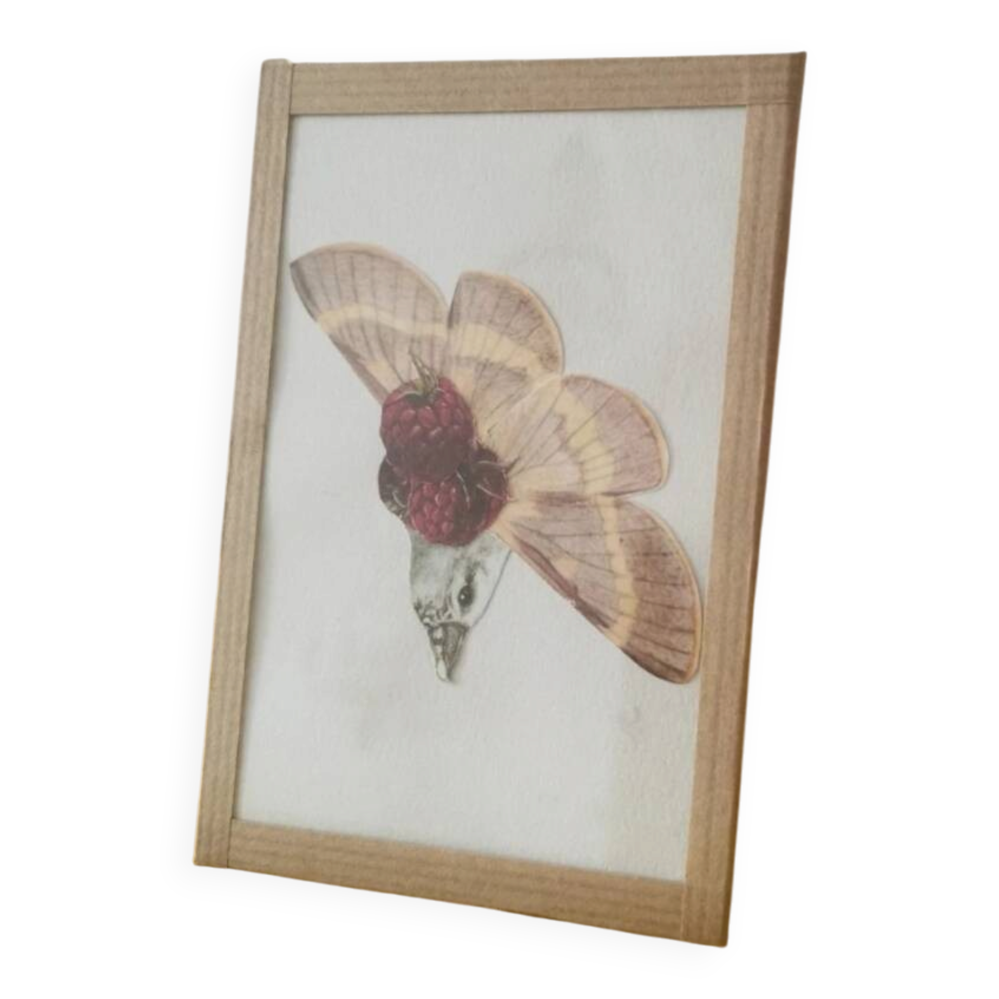 Collage Raspberry
