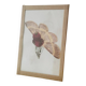 Collage Raspberry