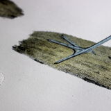 Engraving 4 Birds - Original plate of the "Chalcography of the Louvre" - Plover and Knight