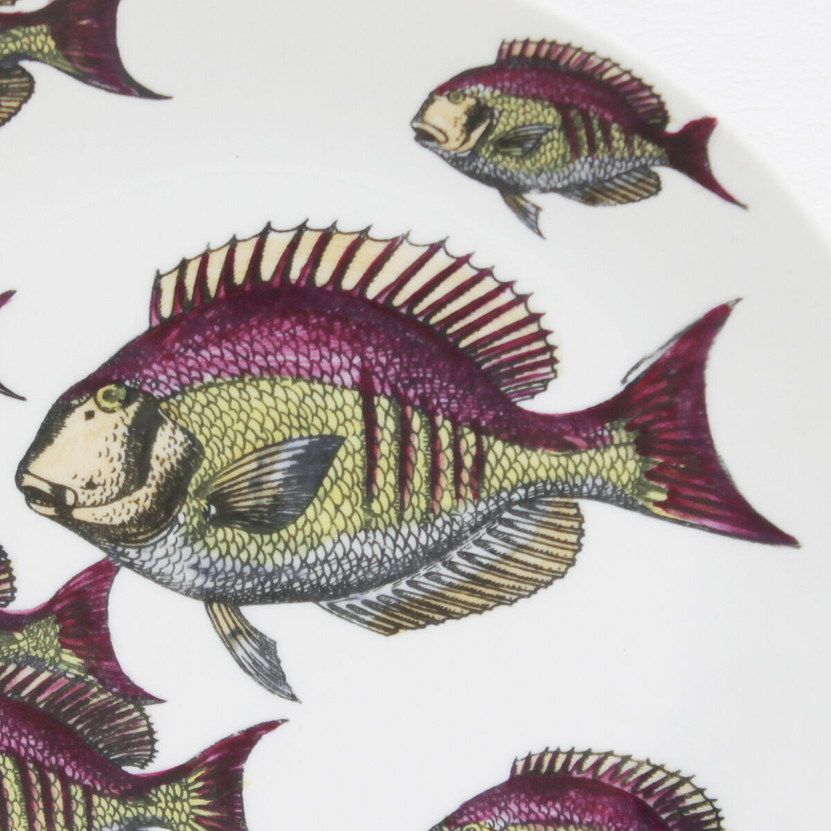 Vintage Set 'Passata Di Pesce' by Piero Fornasetti, 1955