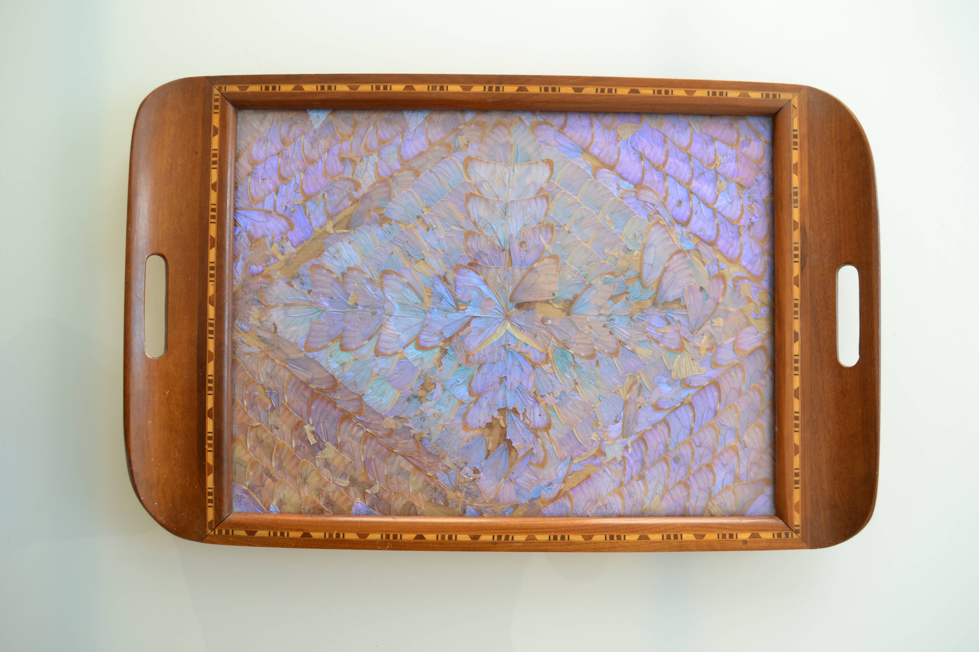 Plateau butterfly wings under glass exotic wood and marquetry Brazil