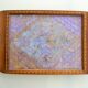Plateau butterfly wings under glass exotic wood and marquetry Brazil