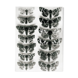 Butterflies 3