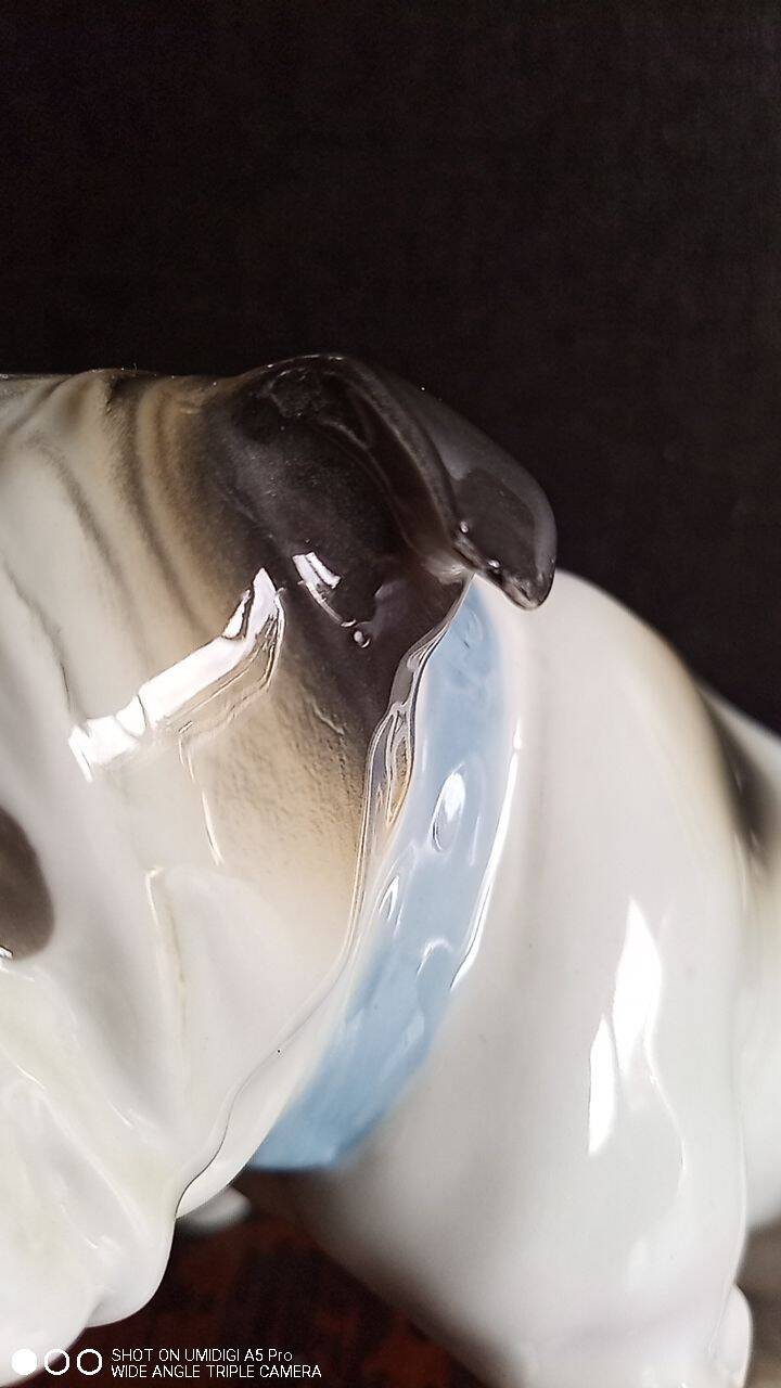 Gräfenthal - porcelain dog - H 12 cm