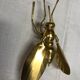 Golden brass fly 1970