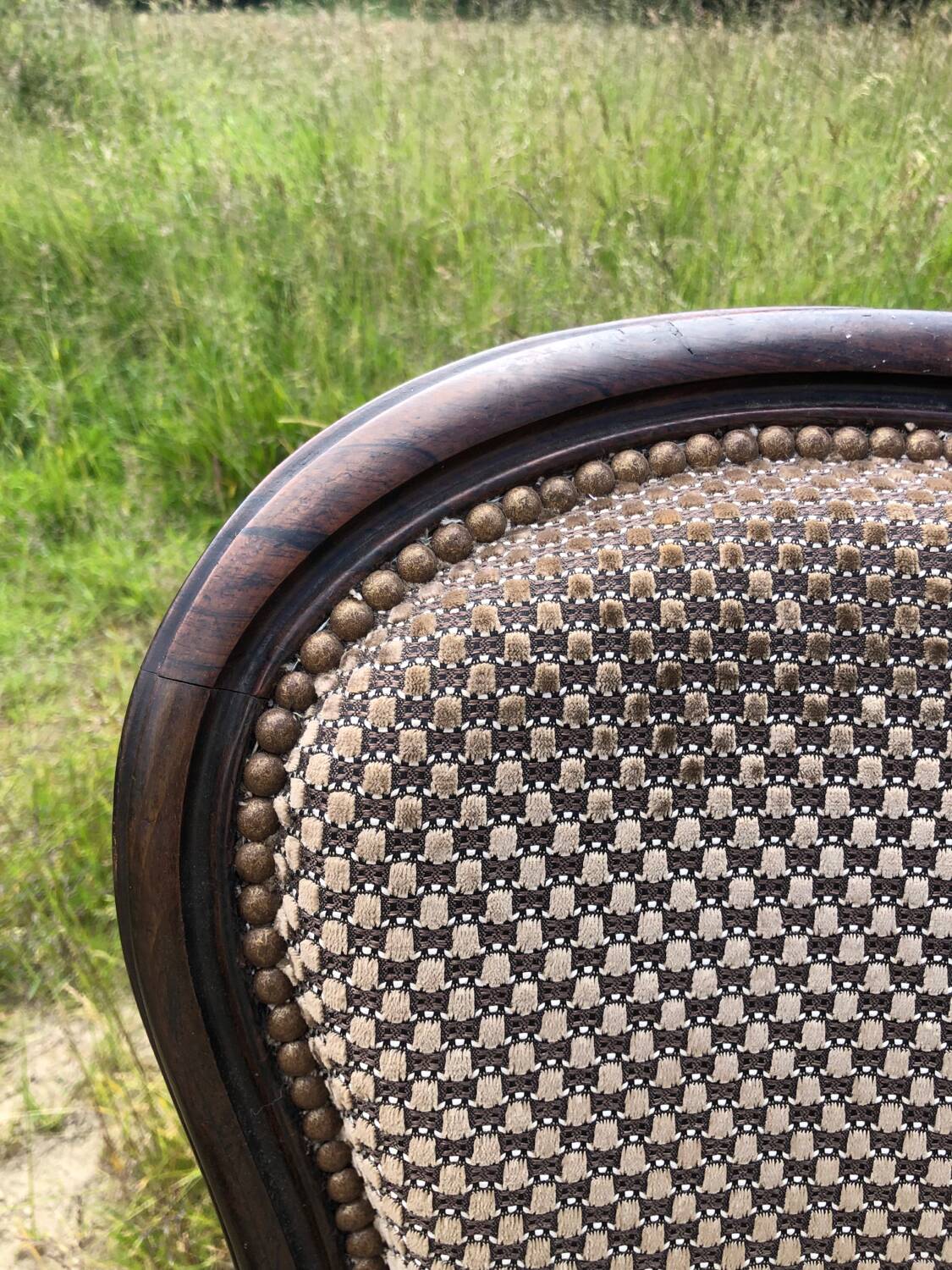 Pair of rosewood medallion chairs