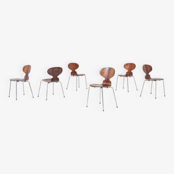 Ensemble de six premières chaises 'Ant' conçues par Arne Jacobsen pour Fritz Hansen, Danemark 1951.