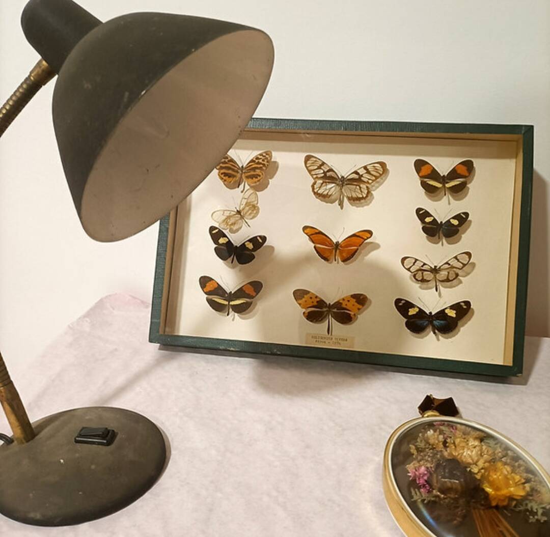 Butterflies frame