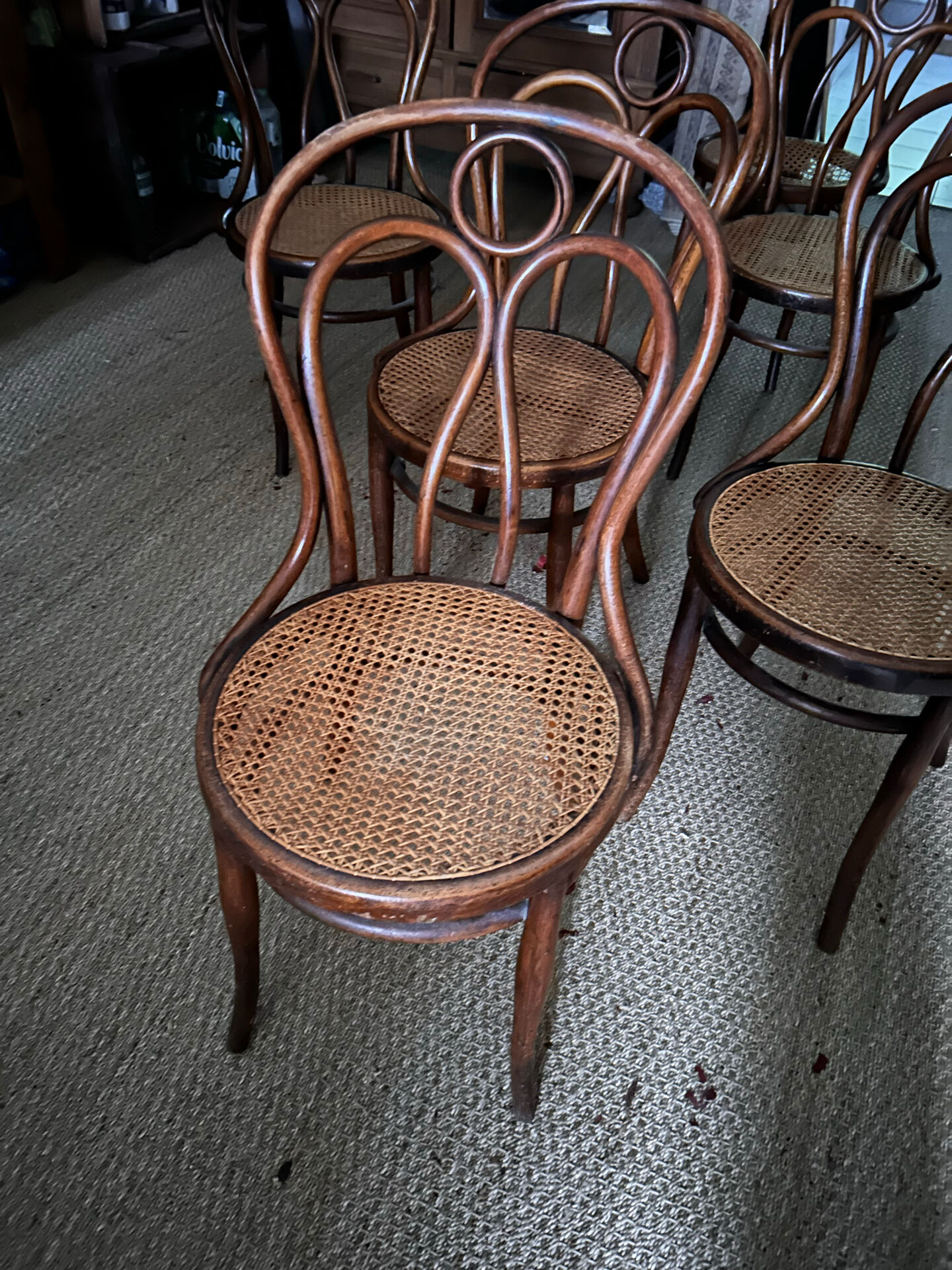 Set of 6 vintage Hoffmann chairs.