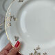 6 flat plates porcelain Limoges golden white