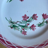 Flat plates Aude Sarreguemines with a rose flower design.
