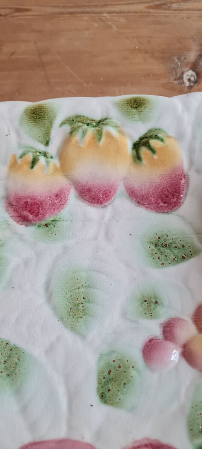 Sarguemines slurry dish