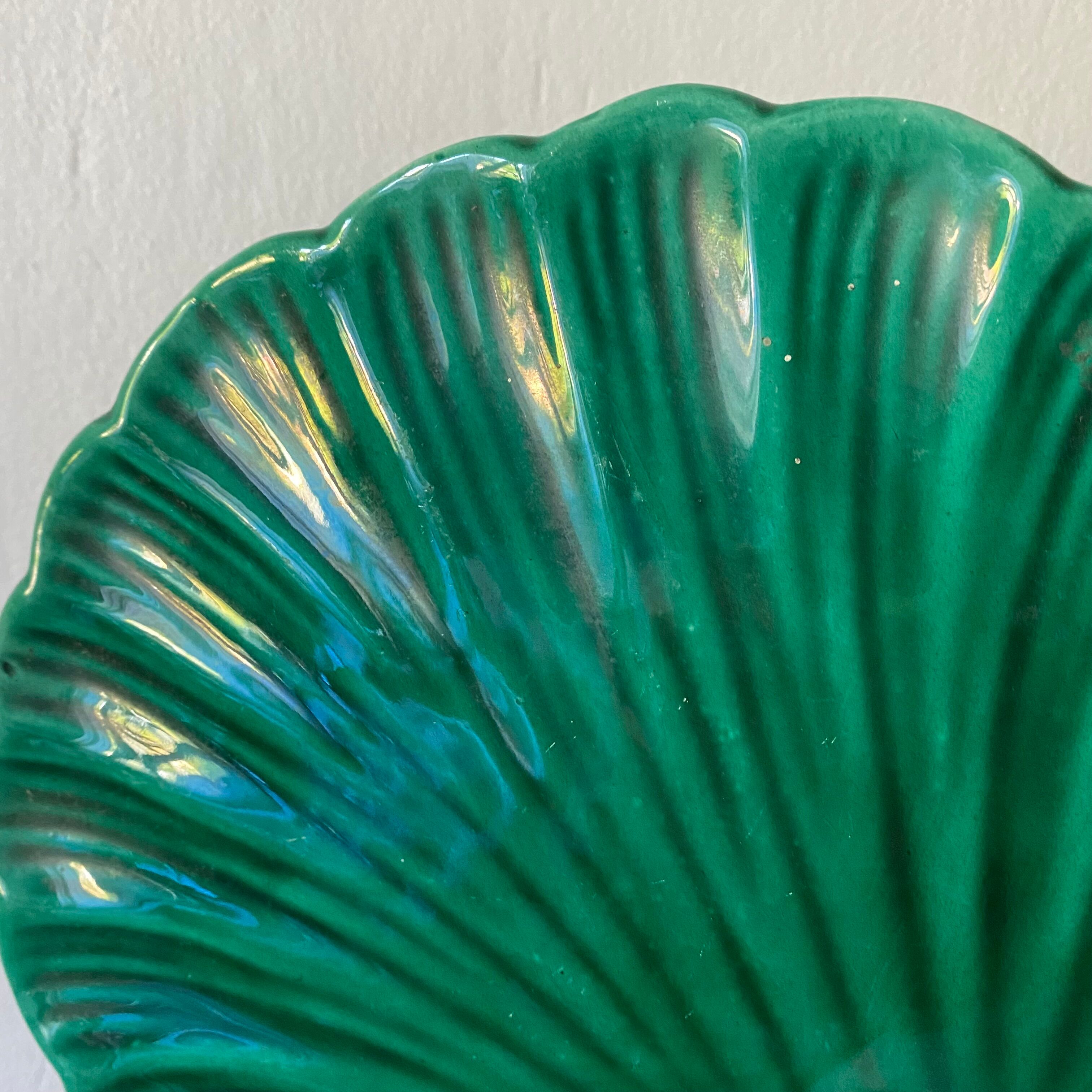 Empty ceramic pocket scallop shell