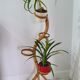 Bamboo plant holder 50s