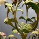 Italian Florentine Tole and Ceramic Flower Chandelier, 1950s