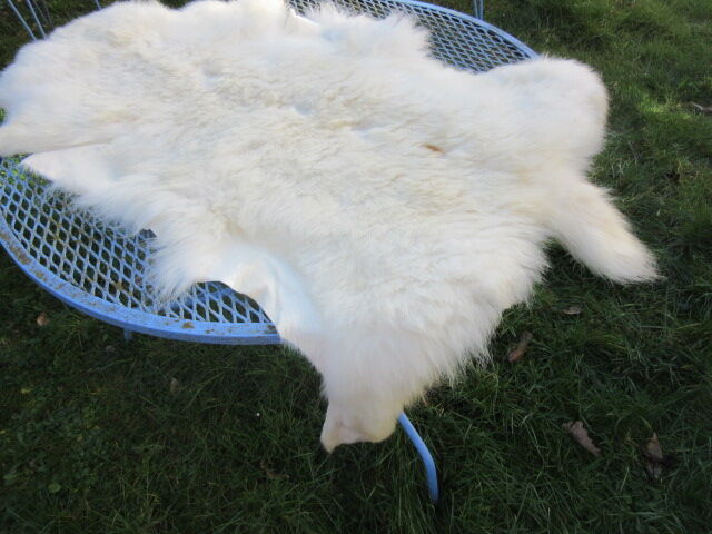 Sheepskin