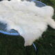 Peau de mouton