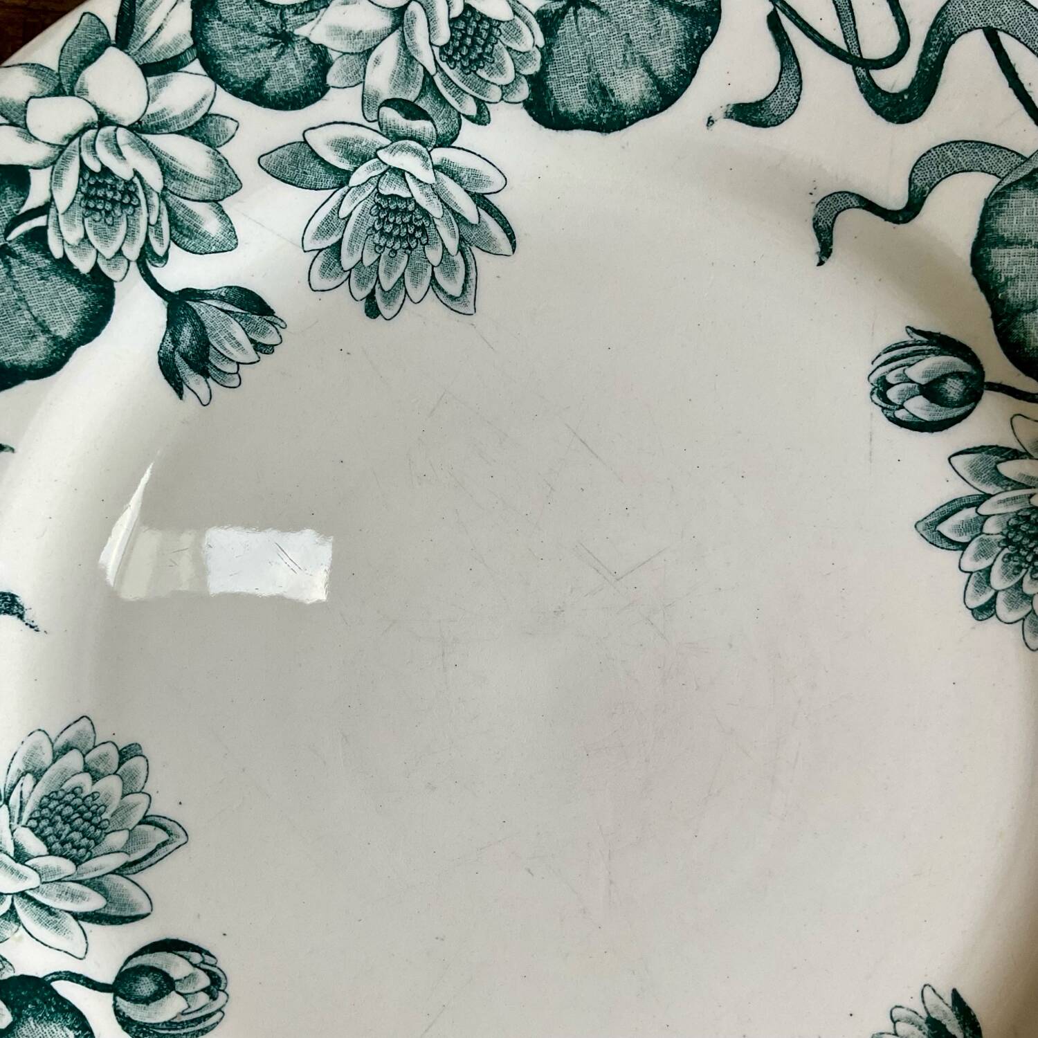 4 Nénuphar plates R & A Salins