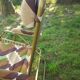 Vintage Lafuma lounge chair